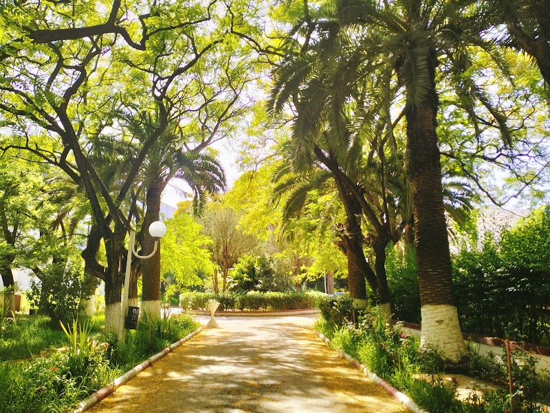 المدرسة العليا للأساتذة القبة 2