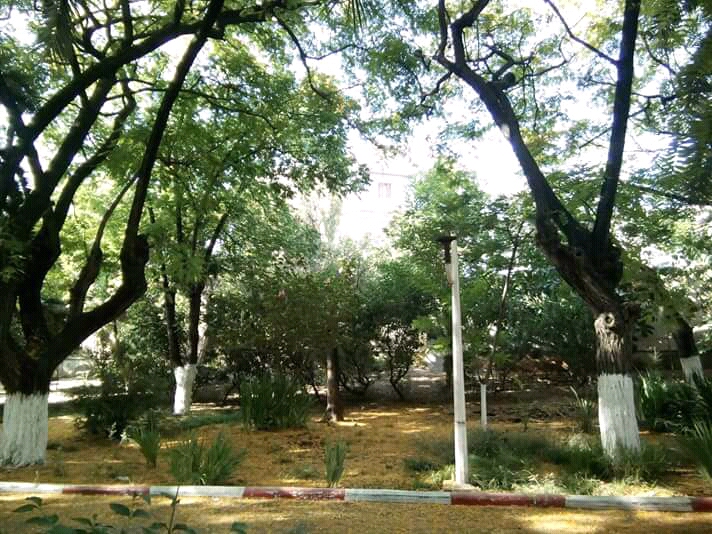 المدرسة العليا للأساتذة القبة 3