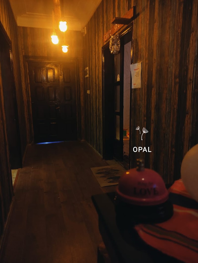 ملح كهف الأوبال 4