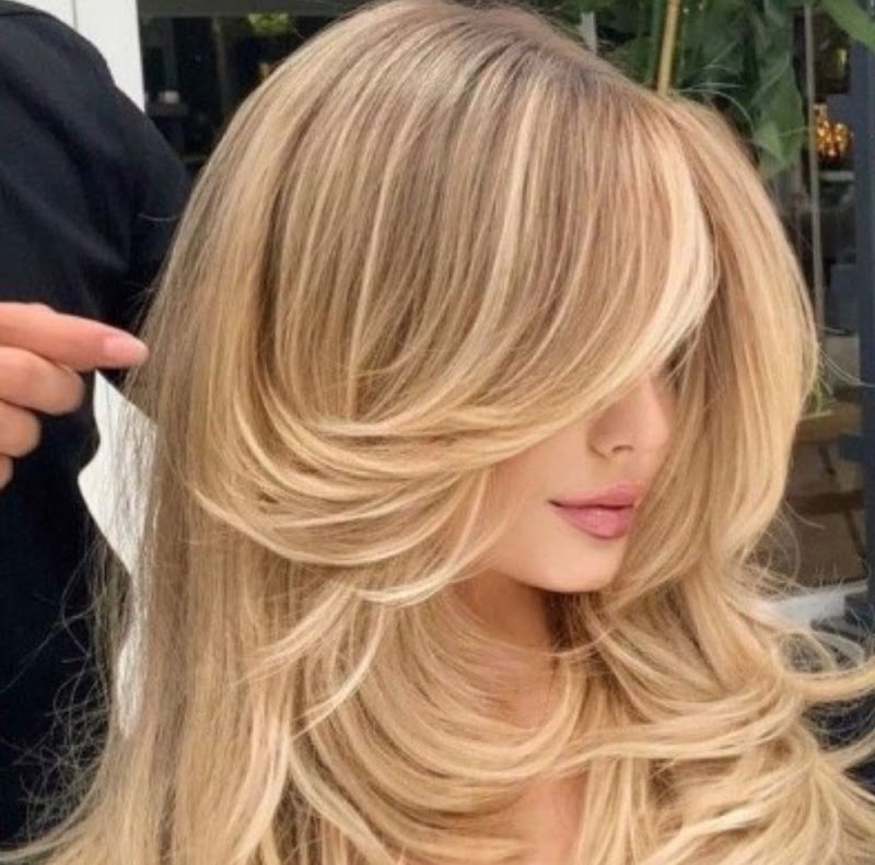 صالون الأحلام