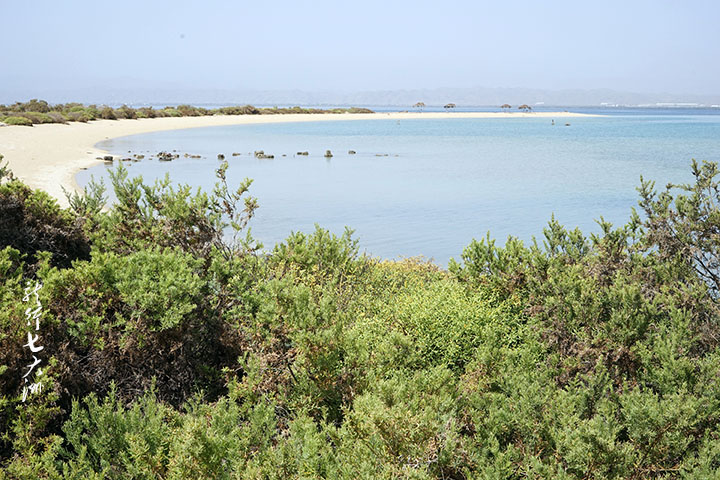 جزيرة شيخ سعيد 4