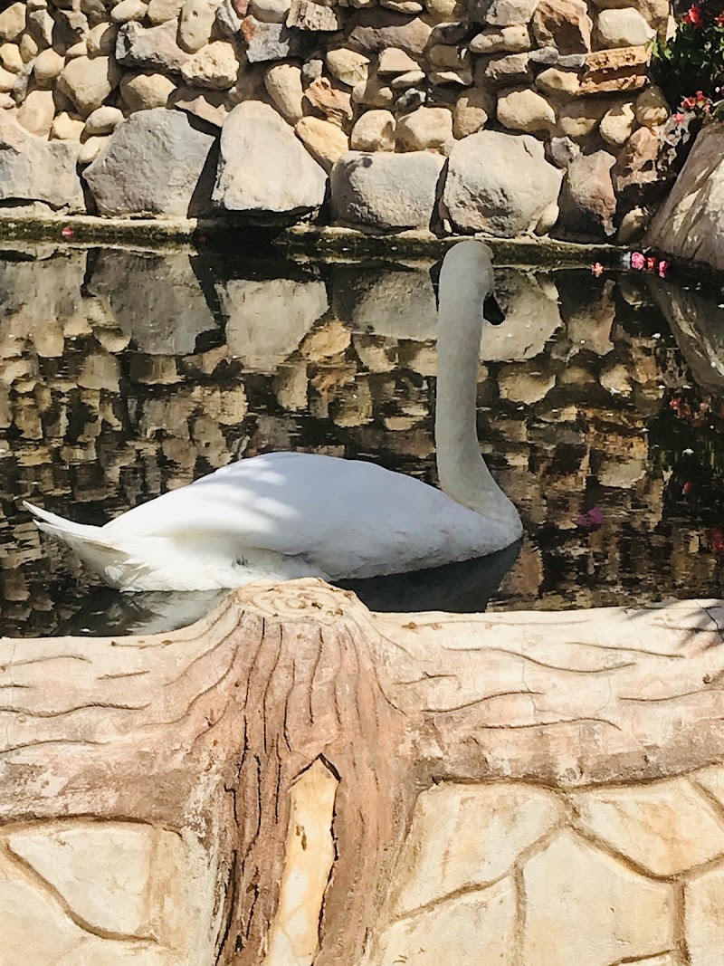 نادي الفروسية في مصراتة 3