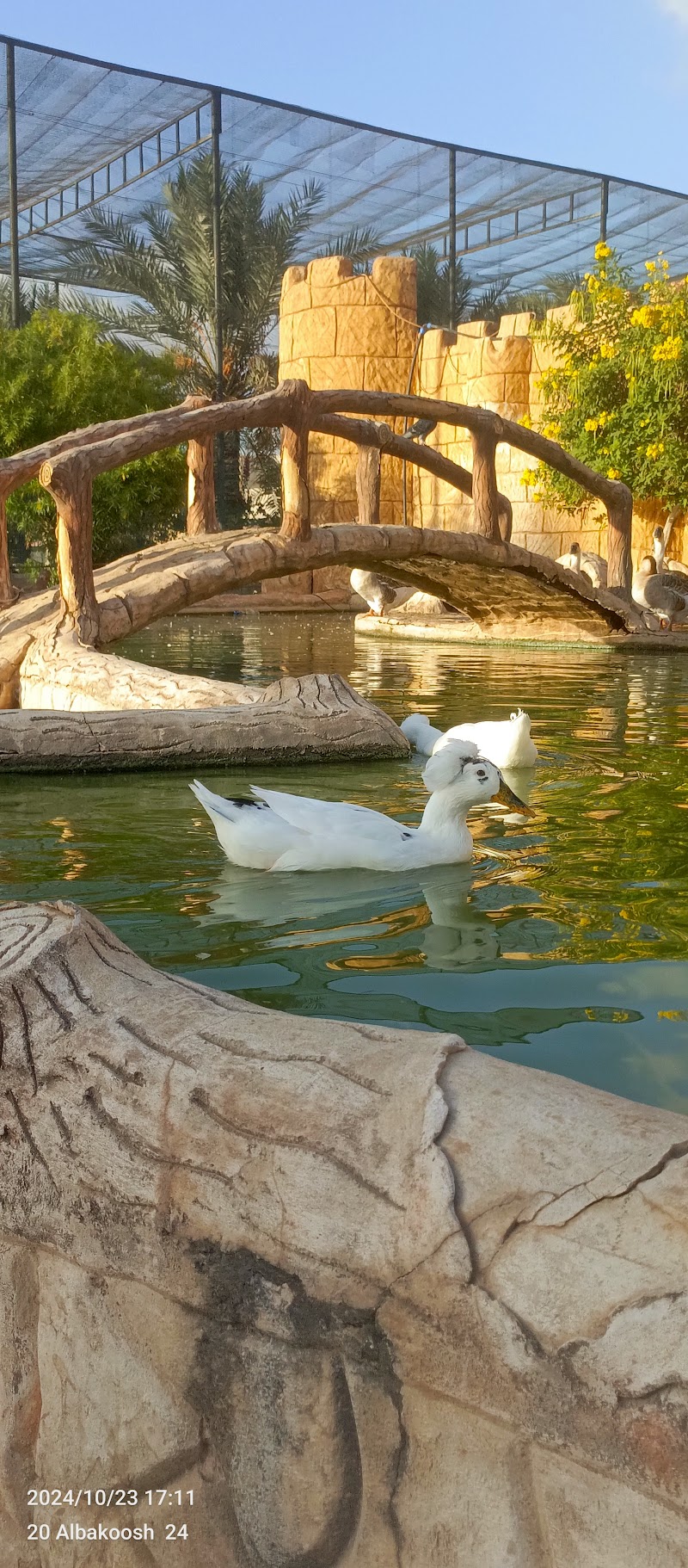 نادي الفروسية في مصراتة 4