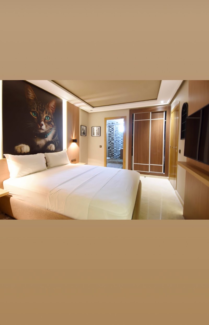 فندق تطبيق طنجة 4