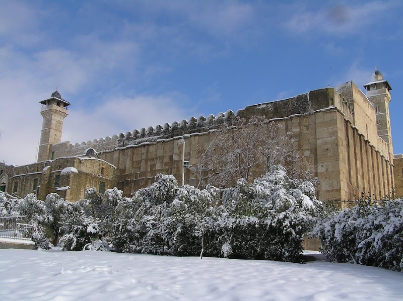 حباد الخليل 6