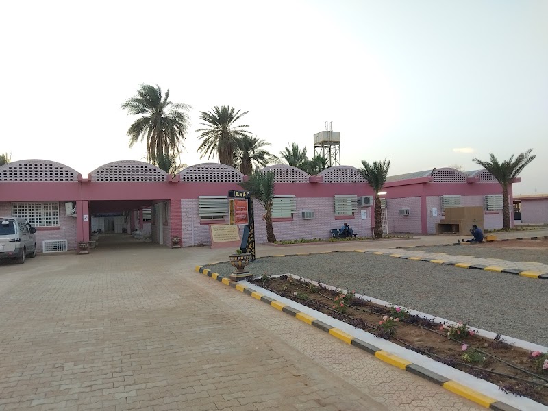 المستشفى السعودي 2