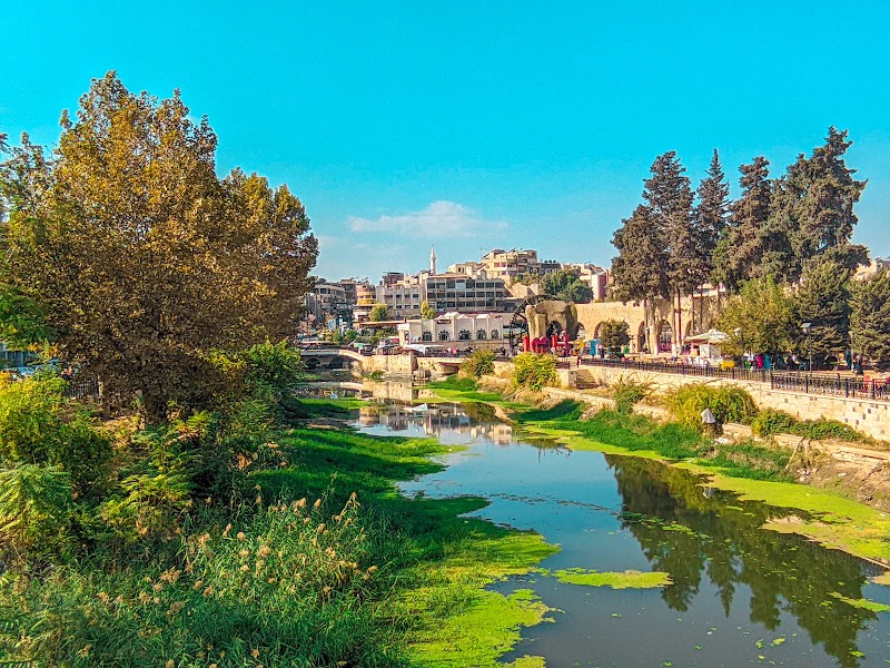 ساحة العاصي