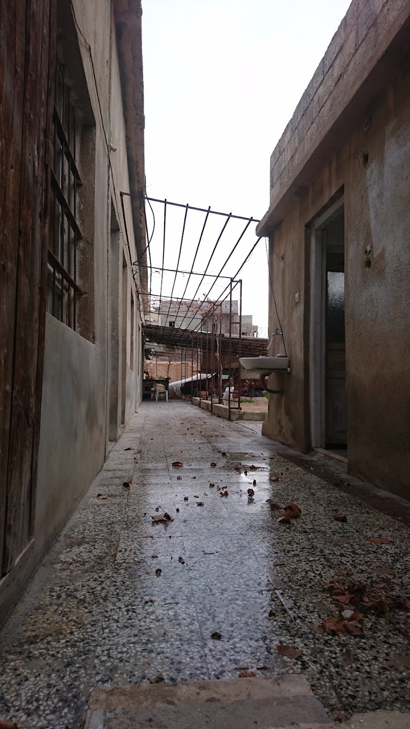 حديقة الباسل 4