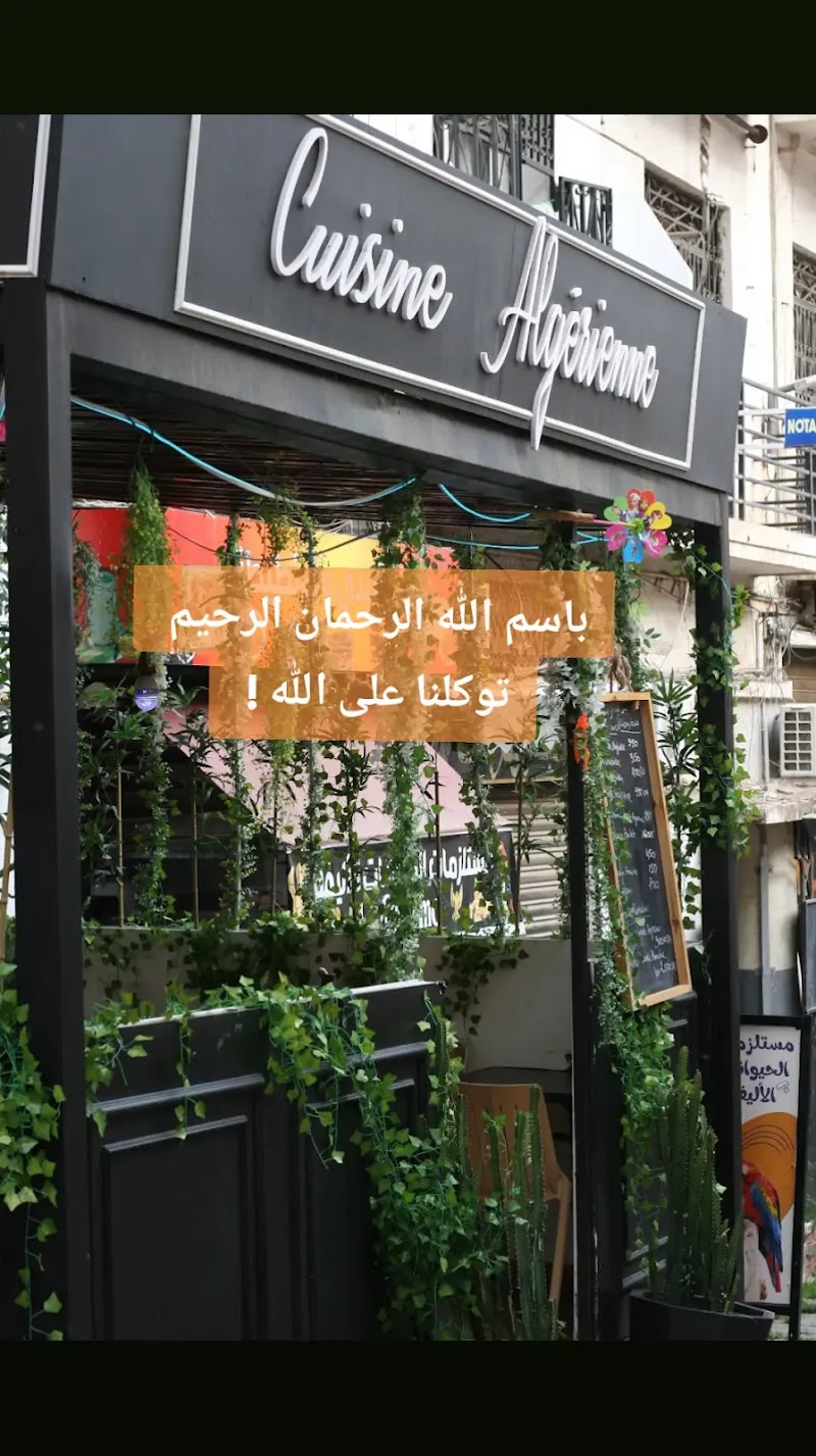 بنات بلادي، يولماز