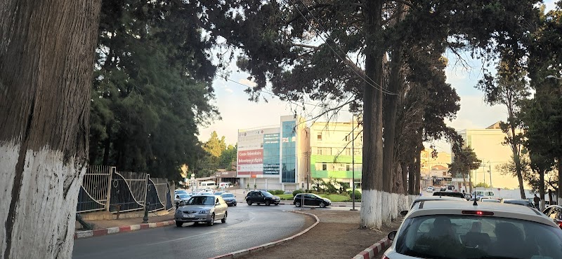 NCUK الجزائر 4