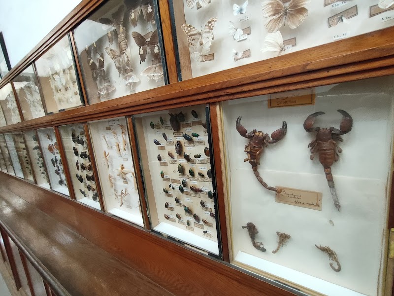 متحف أحمد زبانا الوطني 3