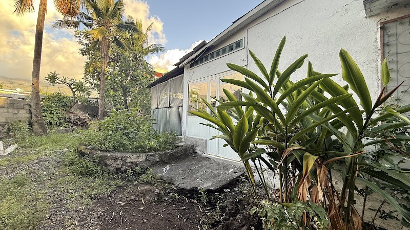 منزل فاريدة