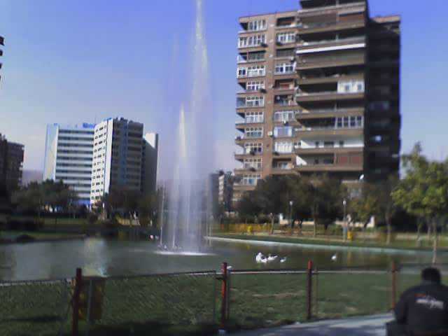 مشفى المدينة 4