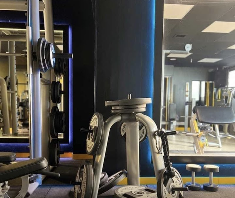 ماركو جيم برو 4