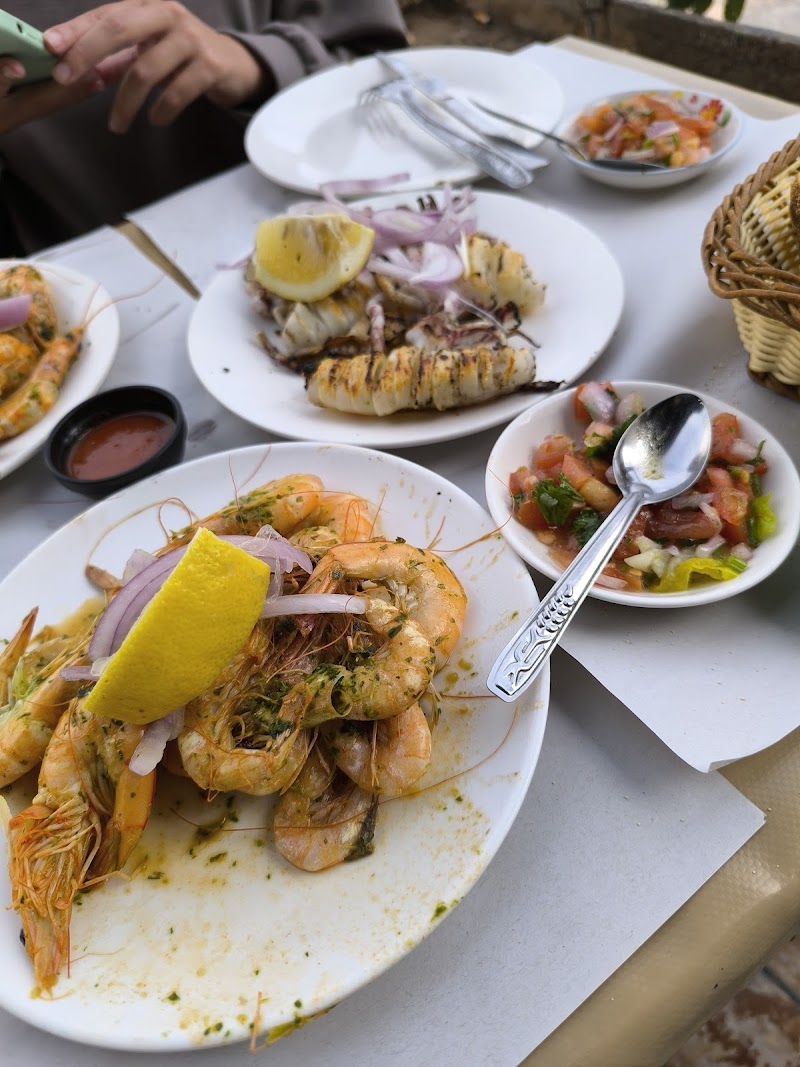 أبشير جريلاد 3