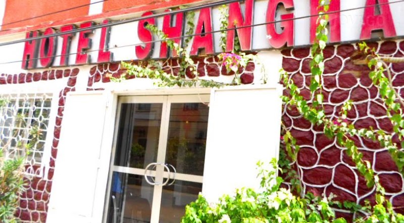 فندق شانغهاي نجامينا