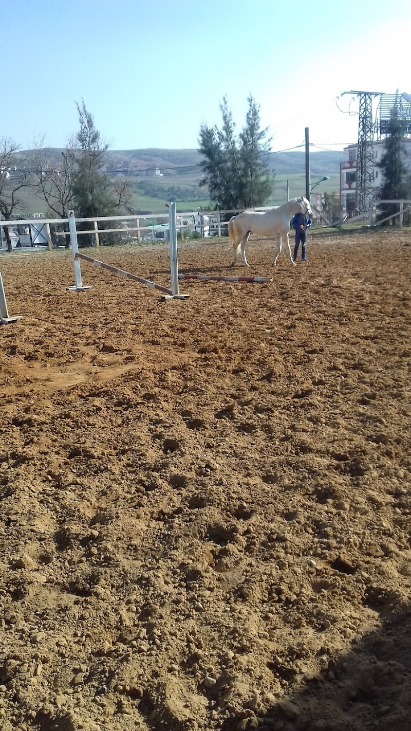 مركز الأعمال المدينة 4