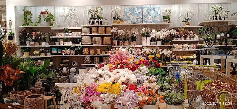 الواحة مول الخوير 2