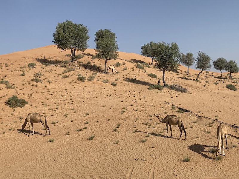 قرية بساطة 3