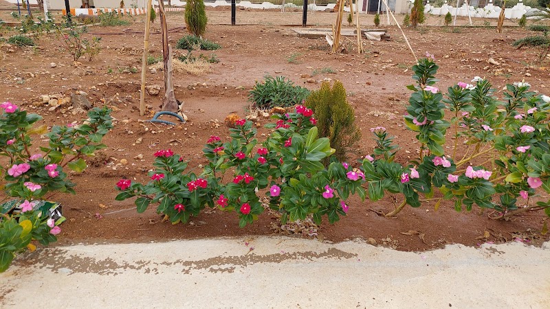 شاطئ الكرنك العائلي 3