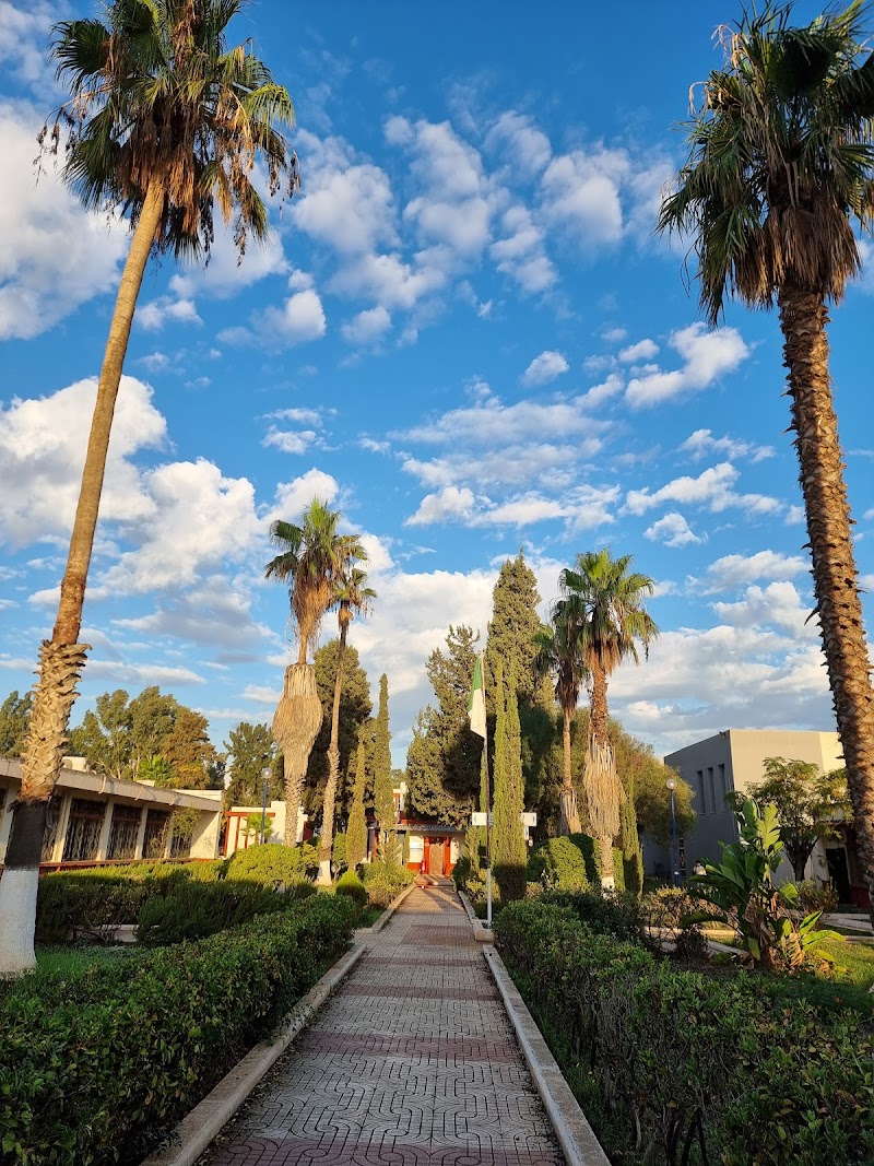 المدرسة الوطنية العليا للإعلام الألي