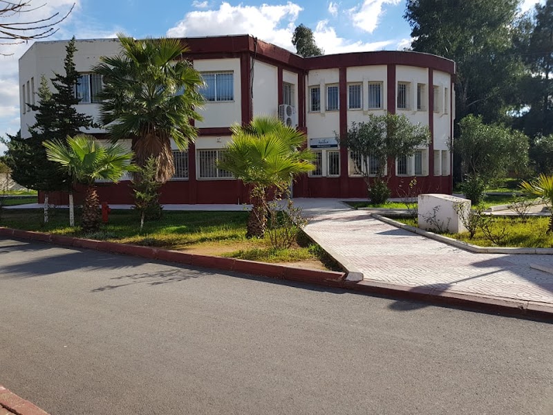 المدرسة الوطنية العليا للإعلام الألي 4