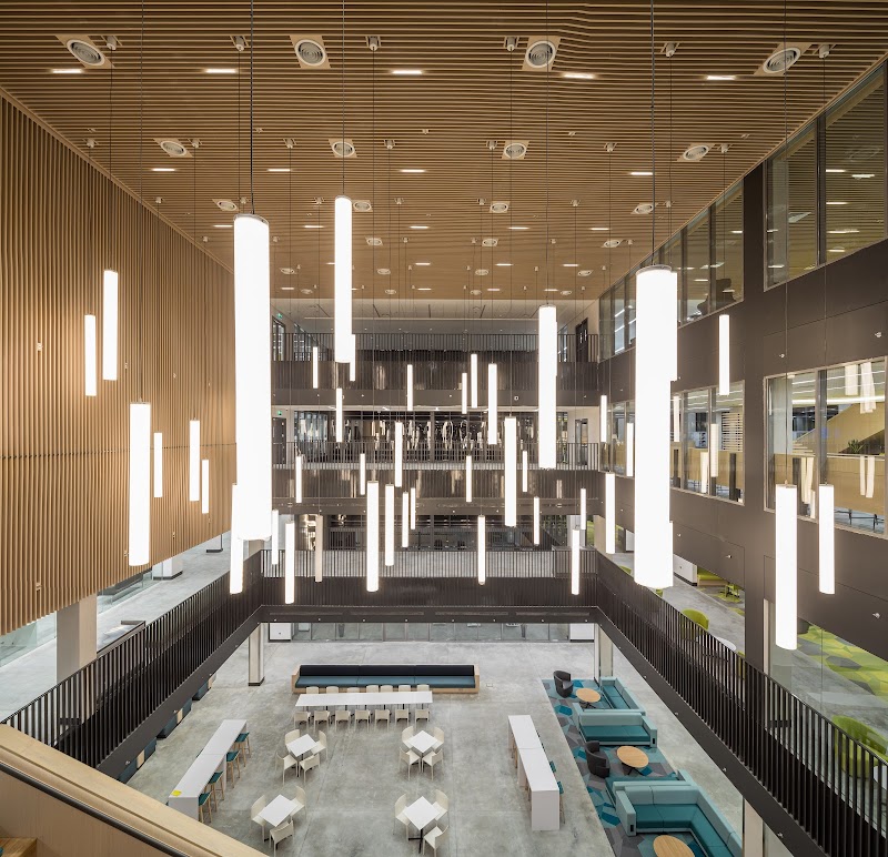 الجامعة الأمريكية الدولية 3