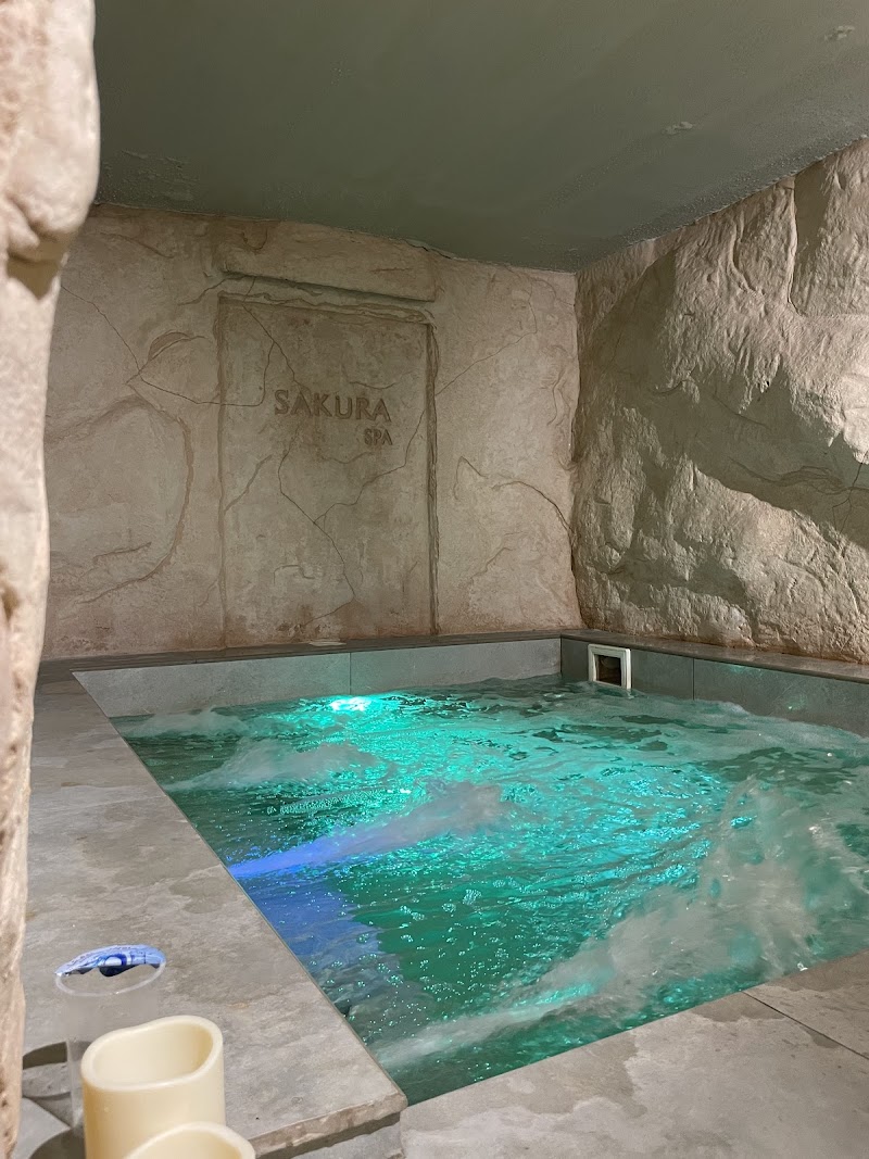 سبا ساكورا الياباني 3