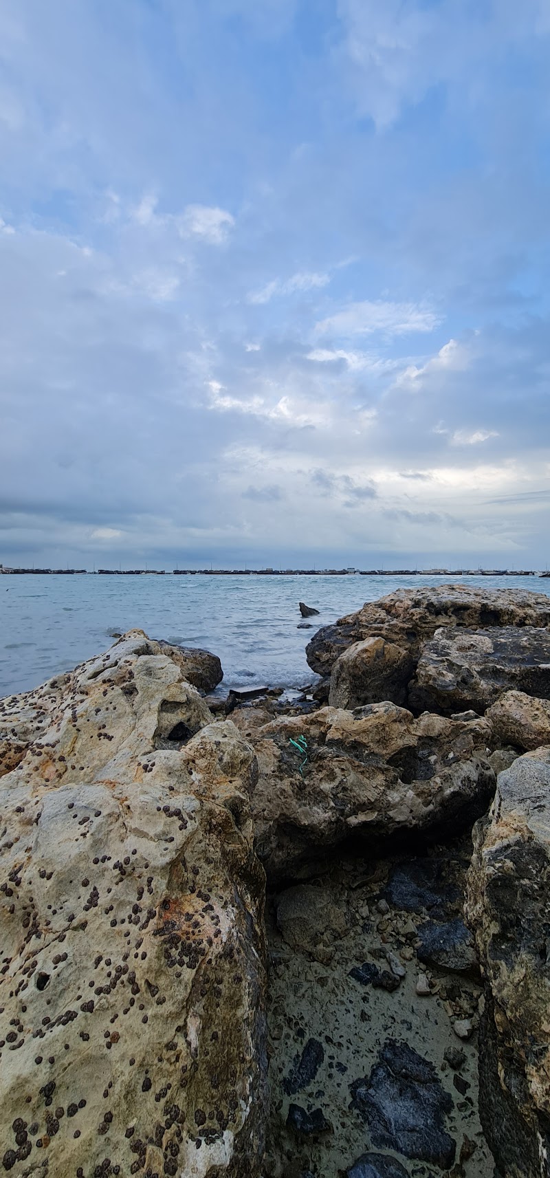 شاطئ الوكرة