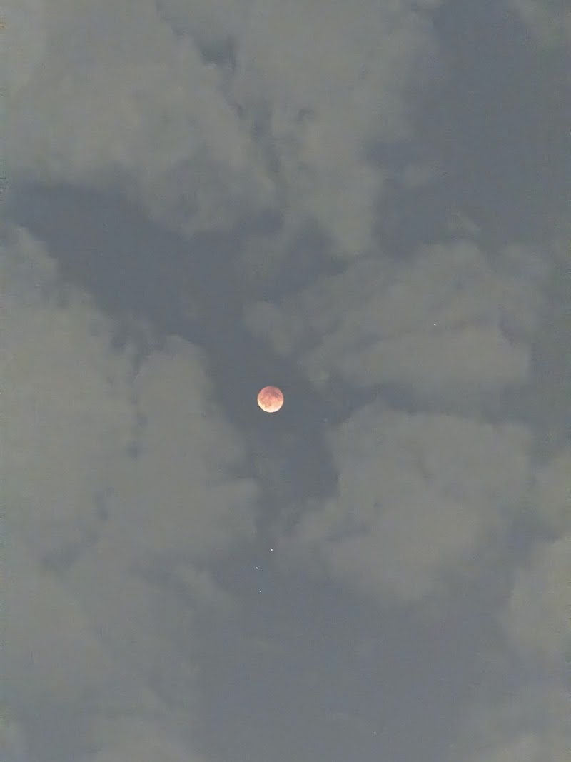 شاطئ الوكرة 3