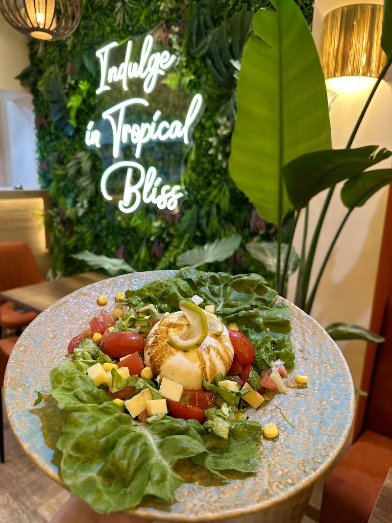 اللوبي الإستوائي 2