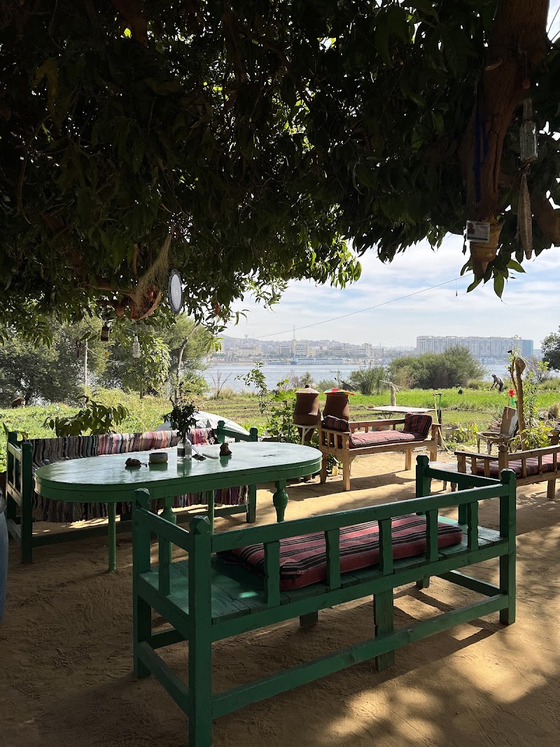 حديقة مانجو سالاتو