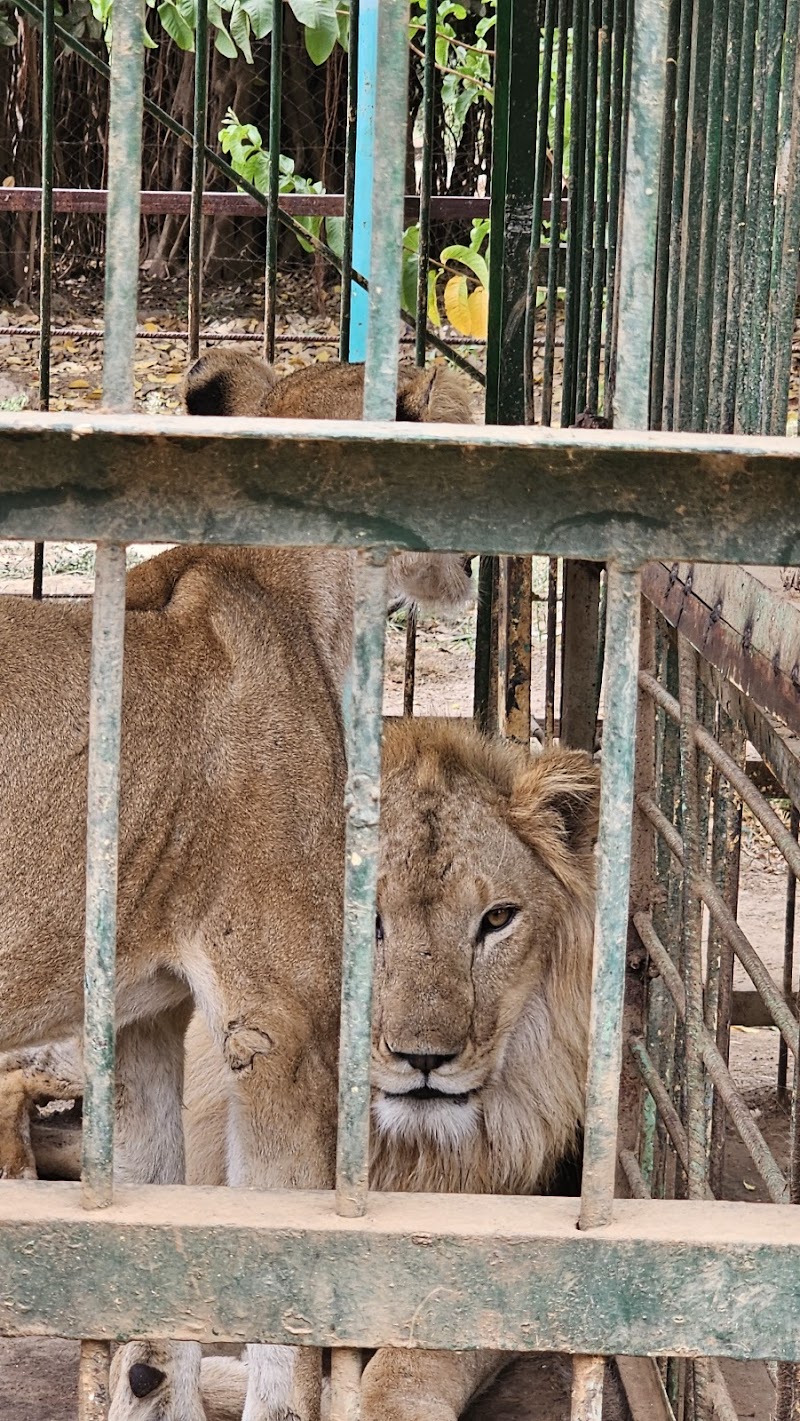 حديقة حيوانات ولاية كسلا