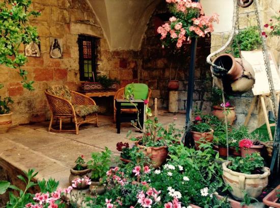 دار زهران التاريخية 7