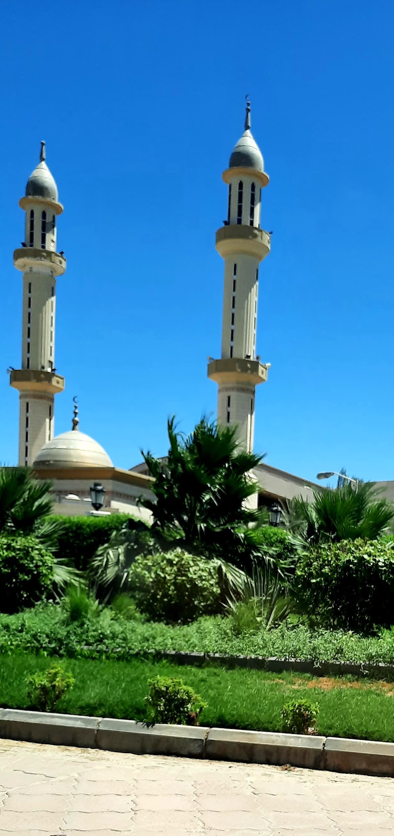 جامعة الكويت - الخالدية 4