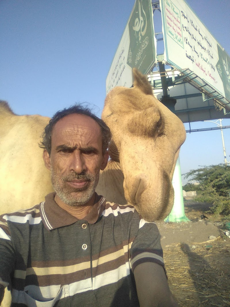 مقوات 7 يوليو 3