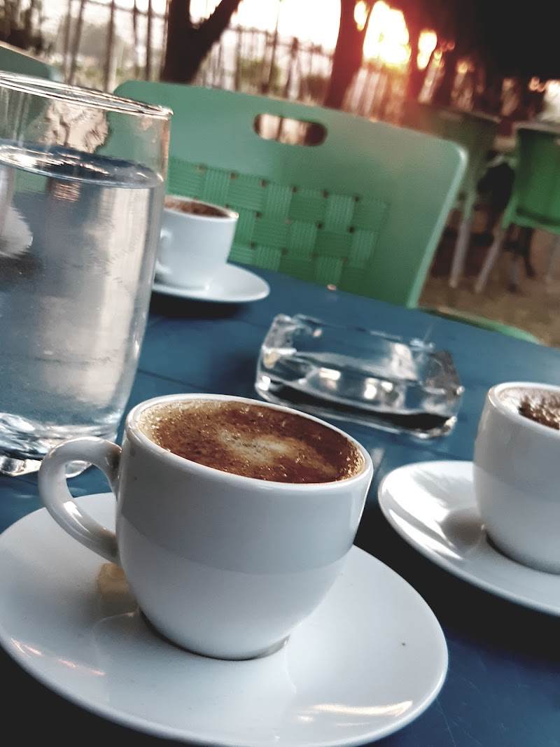 كافيه وناسة 2