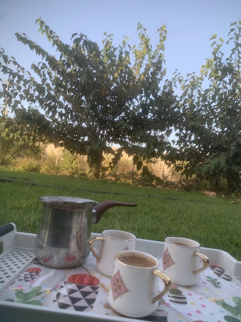 دوار كرزاز 2