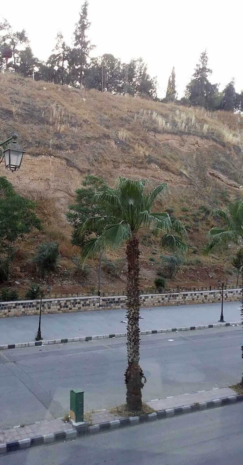 مركز تاج محل 3