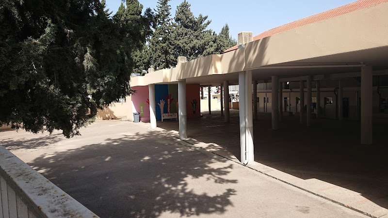 المعهد الوطني الإنجيلي للفتيات والفتيان 4