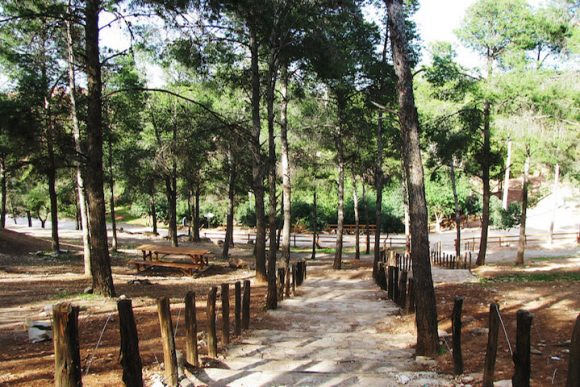 غابة سيدي معافة 2