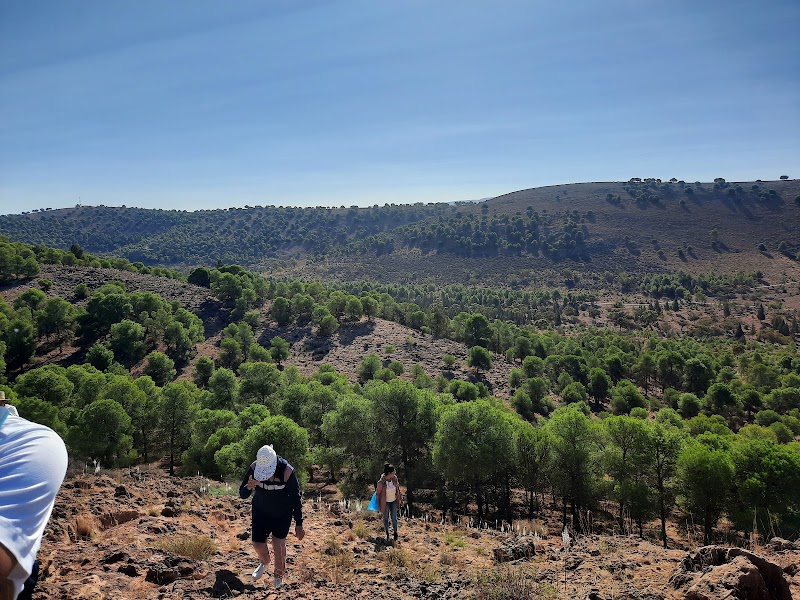 غابة سيدي معافة 3