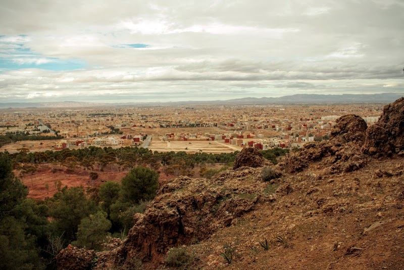 غابة سيدي معافة 4