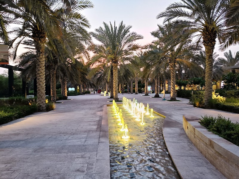 حديقة أم الإمارات 2