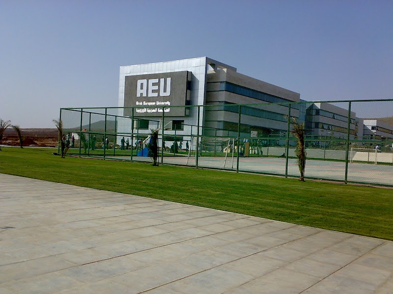 الجامعة العربية الدولية الخاصة 3