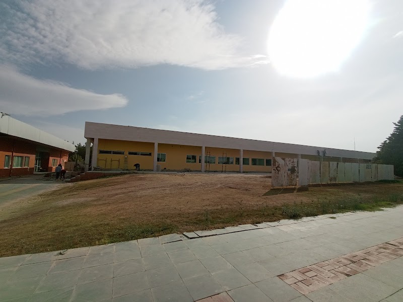 الجامعة العربية الدولية الخاصة 4