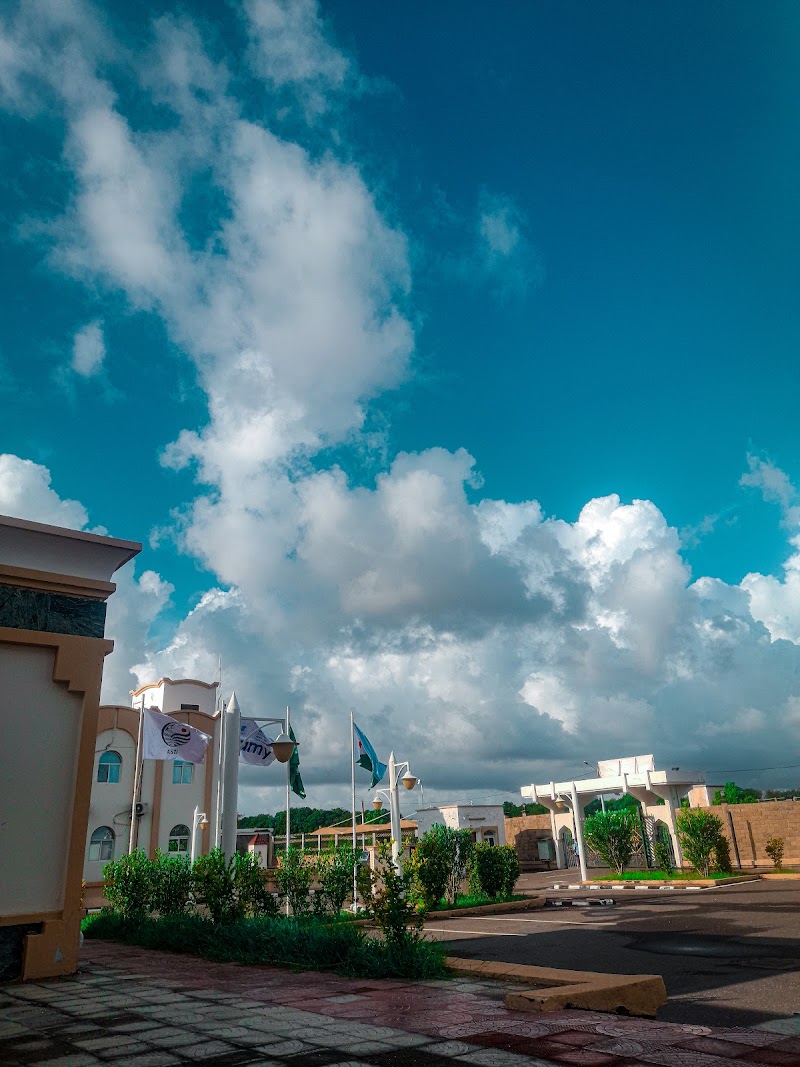 أكاديمية العلوم والتكنولوجيا الصناعية