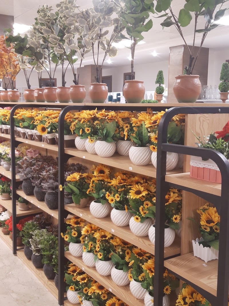 روبية لاند 2