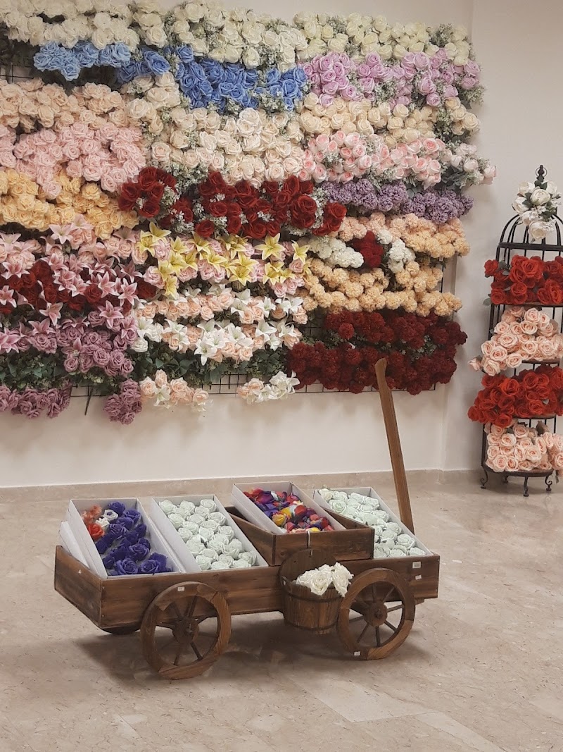 روبية لاند 4