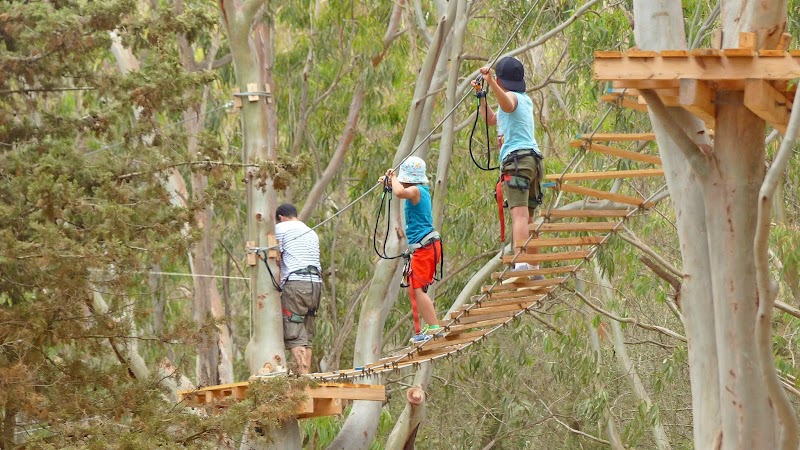 مغامرة الغابة عنابة 2